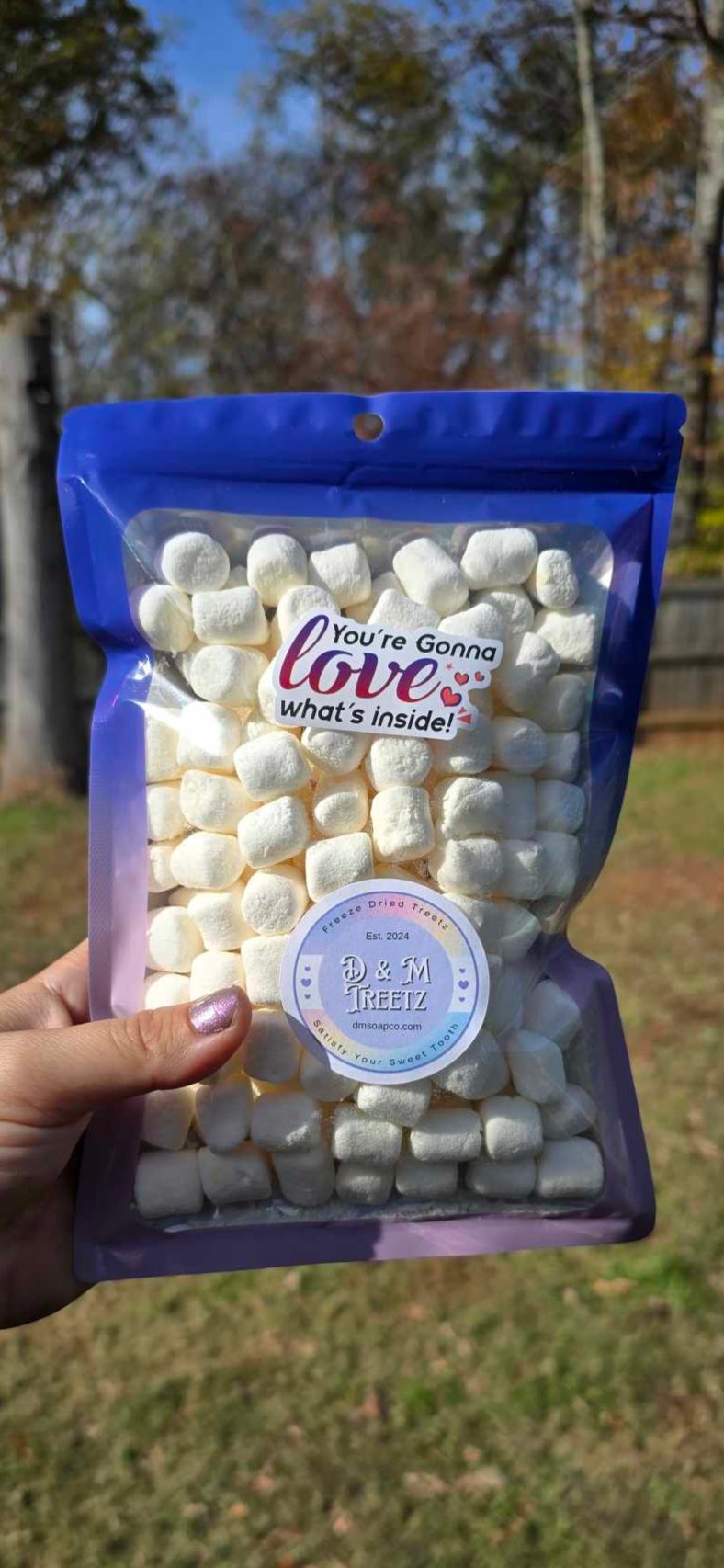 Cheesecake Marshmellow Bites